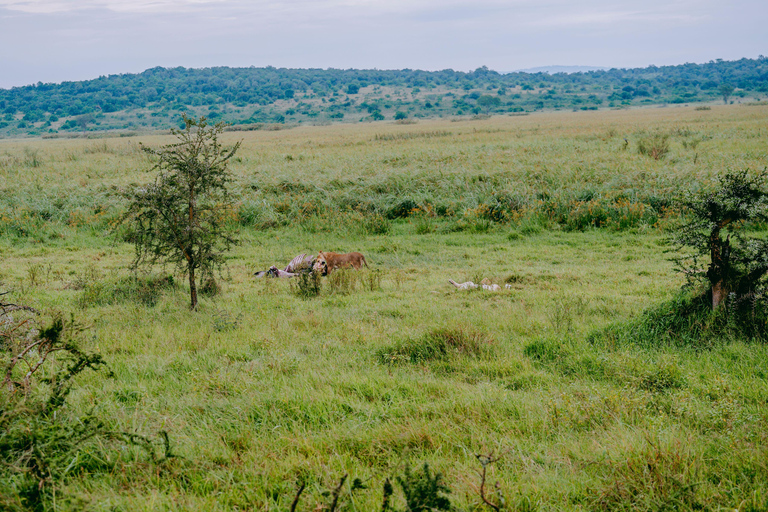 Kigali: Akagera National Park Safari with Boat Cruise
