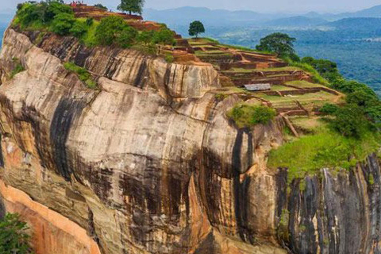 From Kandy: Sigiriya, Dambulla, & Minneriya Private Day Trip