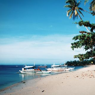 Alona Beach: Private Transfers to or from Bohol or Panglao