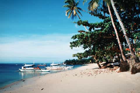 alona beach private transfers to or from bohol or panglao