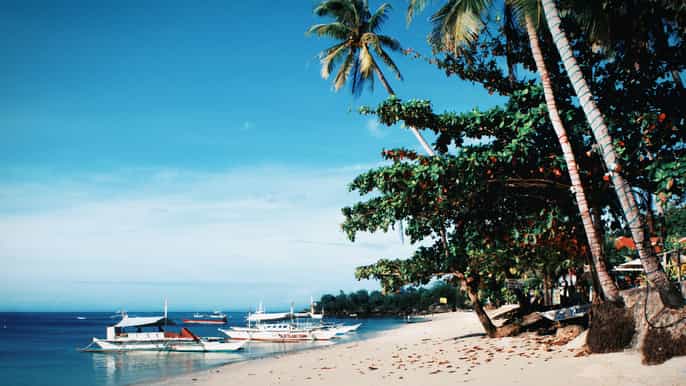 alona beach private transfers to or from bohol or panglao