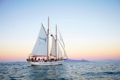 Airlie Beach: Whitsundays Tallship Sunset Sail mit Drink