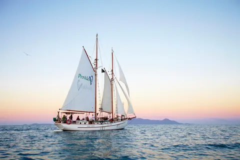 Airlie Beach : Croisière au coucher du soleil sur le Whitsundays Tallship avec boisson