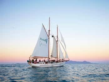 Airlie Beach: Whitsundays Tallship Sunset Sail mit Drink