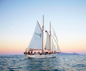 Airlie Beach: Whitsundays Tallship Sunset Sail with Drink
