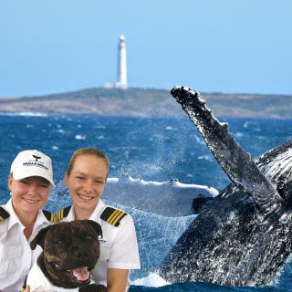 From Augusta: Educational Whale Watching Cruise