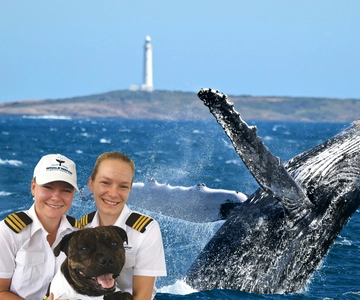 From Augusta: Educational Whale Watching Cruise