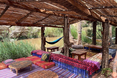 Agadir: Paradise Valley & Imouzzer Waterfall Day Tour