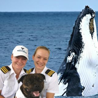 Whale Watching VIP Captain's Lounge Experience from Augusta