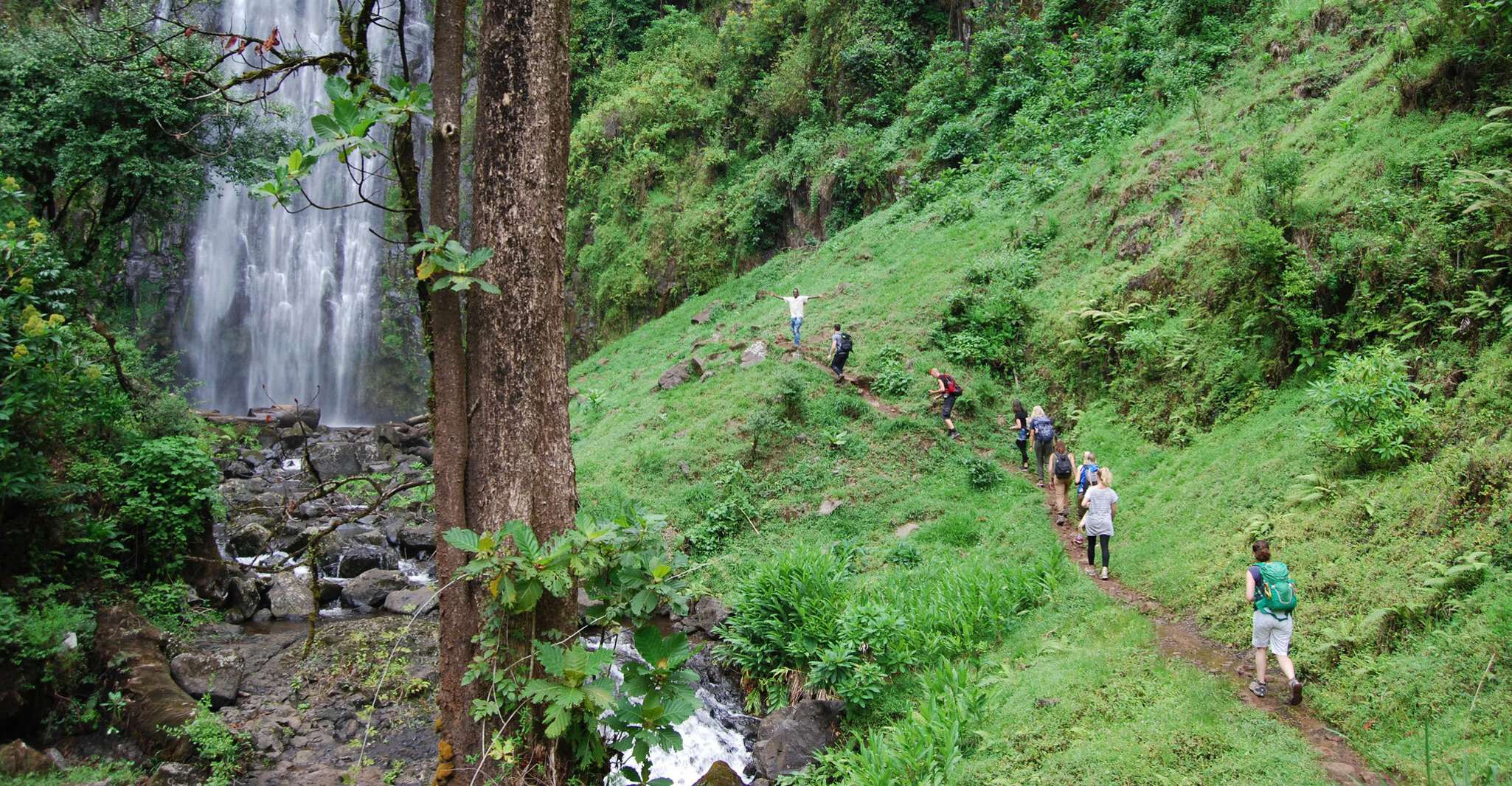 Moshi, Cascate Materuni e Coffee Farm Tour di una giornata intera - Hizvo