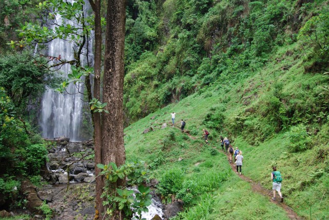 Visit Moshi Materuni Waterfalls and Coffee Farm Full Day Tour in Moshi
