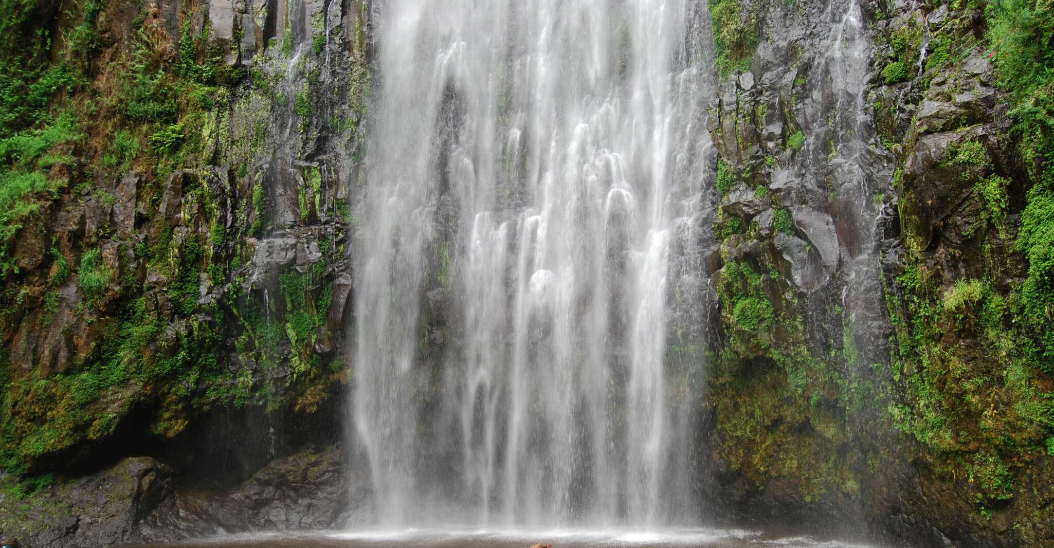 Moshi, Cascate Materuni e Coffee Farm Tour di una giornata intera - Hizvo