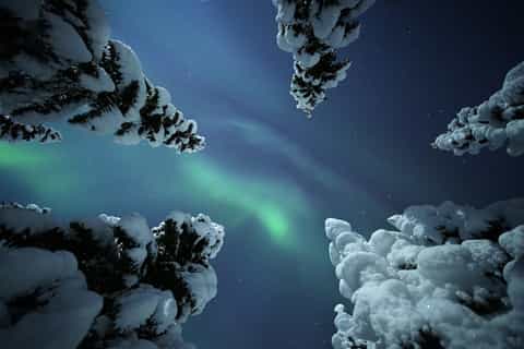 Senja: Northern Lights Private Tour