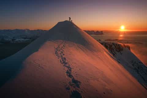 From Senja: Small Group Snowshoeing Tour