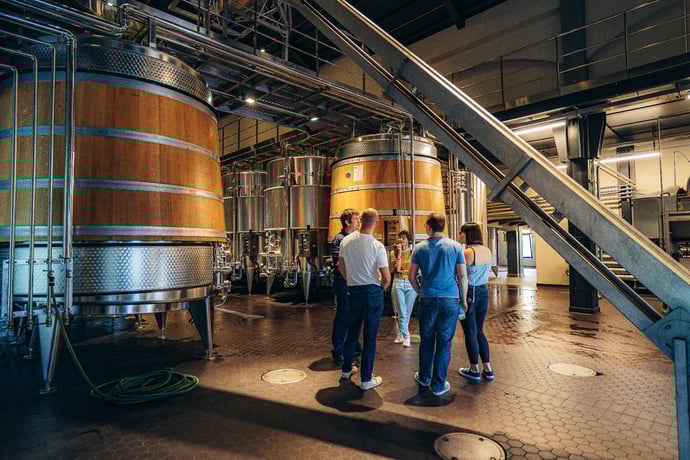From Milan: Wine Tasting Tour in the Countryside