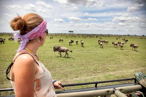 Arusha: Ngorongoro Crater Day Tour