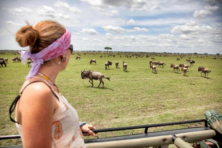 Arusha: Ngorongoro Crater-dagtour