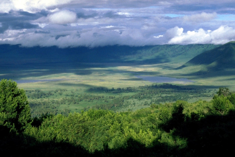 Arusha: tour de un día por el cráter del Ngorongoro