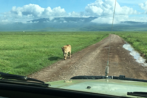 Arusha: excursion d'une journée au cratère du Ngorongoro