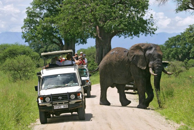 Visit Arusha Tarangire National Park Full-Day Wildlife Safari in Arusha