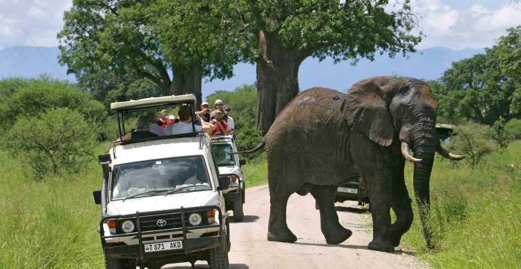 Arusha Tarangire National Park Full Day Wildlife Safari GetYourGuide