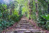 Santa Marta, Multi-Day Trek to The Lost City - Housity