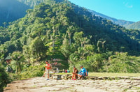 Santa Marta, Multi-Day Trek to The Lost City - Housity