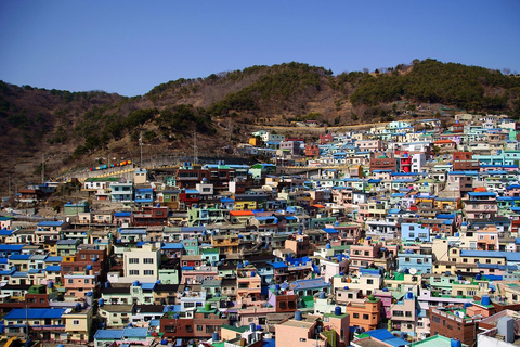 Busan Full-Day Private Tour with Daily Chauffeur