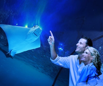 Aquarium Guided Twilight Tour with 3-Course Dinner