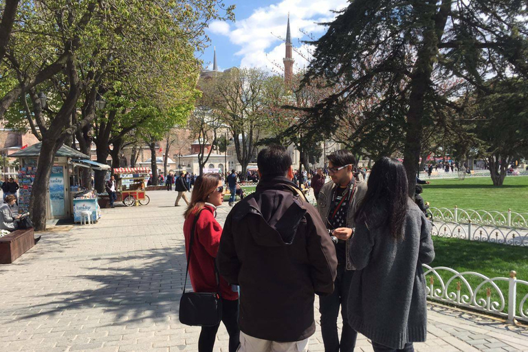 Istanbul : visite guidée des sites majeurs en petit groupe