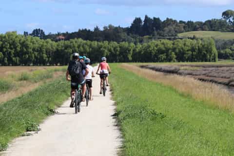 Napier: Art Deco Bike Ride and Wineries Loop