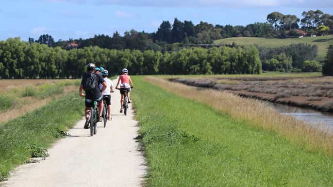 napier art deco bike ride and wineries loop