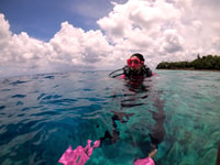 San Andres, SCUBA Experiência de mergulho com Hotel Pickup - Hizvo