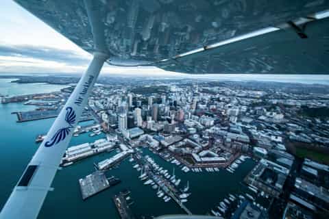 Auckland: vol panoramique à Coromandel avec déjeuner à 2 plats