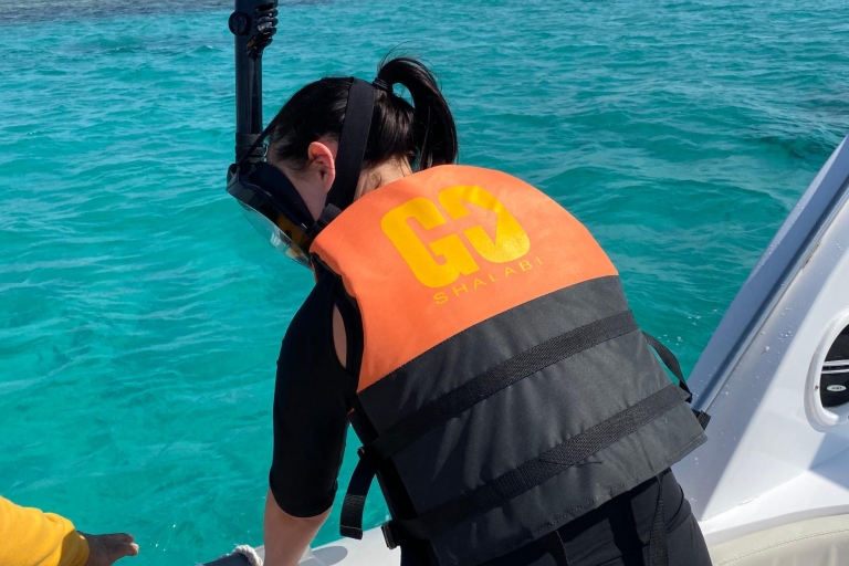Hurghada: dolfijnen spotten per speedboot en snorkelenGedeelde tour