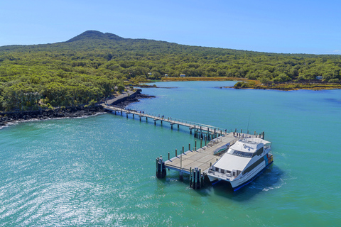 Auckland: Biljett till färjan tur och retur till Rangitoto Island