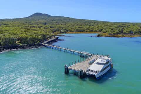 Auckland: Rangitoto Island Roundtrip Ferry Pass