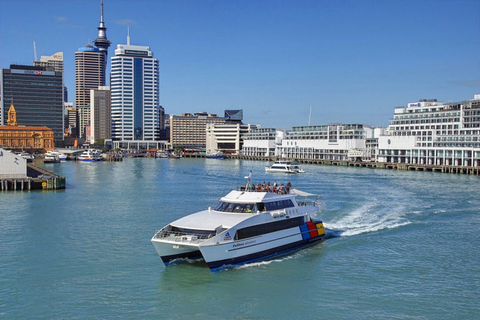 Auckland: Ticket für die Fähre nach Rangitoto Island