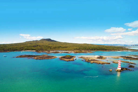 Auckland: Return Ferry Ticket to Rangitoto Island