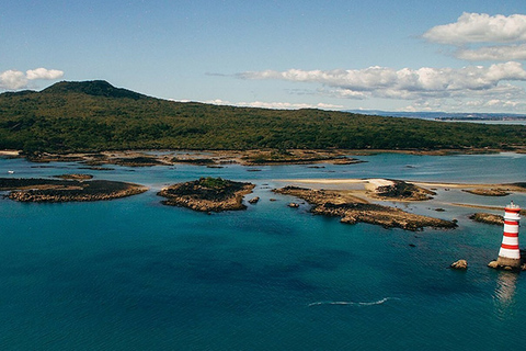 Auckland: Retour Ferry Ticket naar Rangitoto Eiland