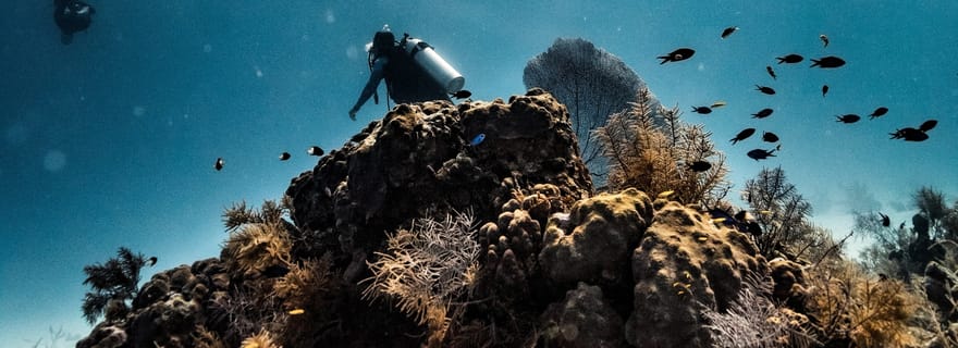 San Andres: expérience de plongée sous-marine avec prise en charge à l'hôtel