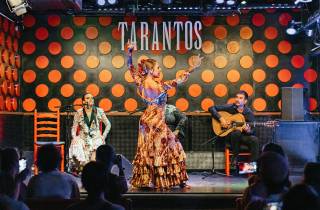 Barcelona: Flamenco-Show im Los Tarantos