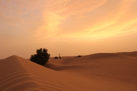Dubai: Safari nocturno por el desierto con estadía en cabaña privada