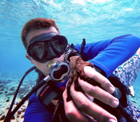 San Andres, SCUBA Experiência de mergulho com Hotel Pickup - Hizvo