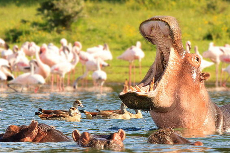 Da Nairobi: Escursione di un giorno a Hells Gate e al lago NaivashaTour con ritiro e riconsegna di Nairobi