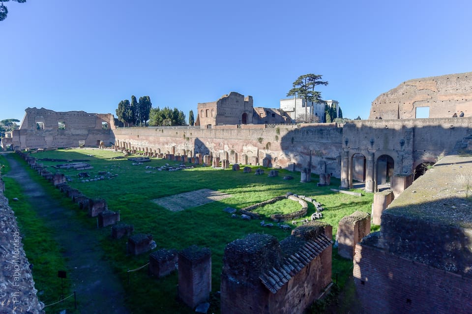 Roma Tour Guidato Del Colosseo Del Foro Romano E Del Palatino