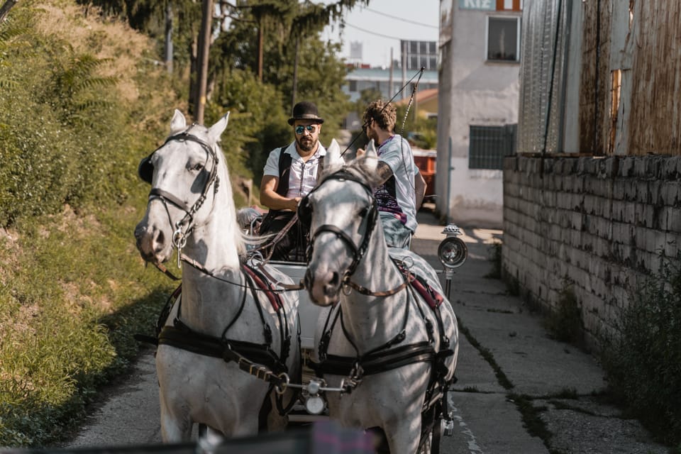 Secrets of the Fiaker & Horse-Drawn Carriage Ride