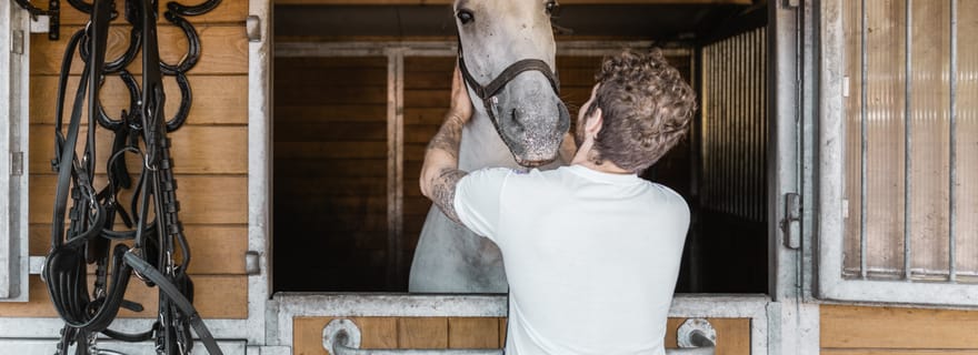 Vienne : Secrets du Fiaker et promenade en calèche