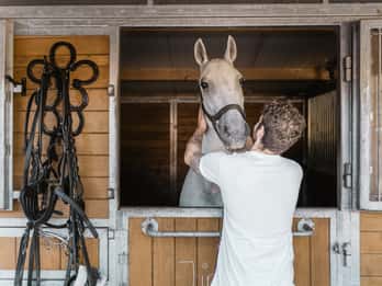 Vienna: Secrets of the Fiaker & Horse-Drawn Carriage Ride