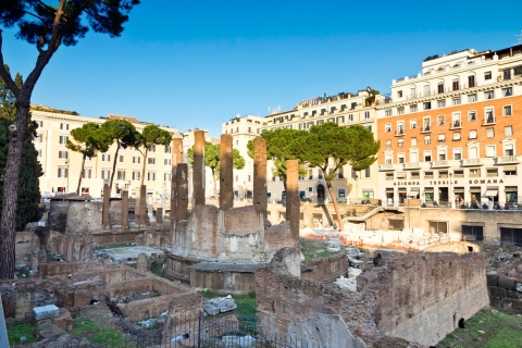 Plätze & Brunnen von RomPiazzas & Springbrunnen von Rom - Tour auf Englisch